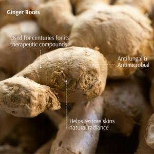 Ginger Hydrosol